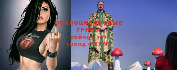 ГАЛЛЮЦИНОГЕННЫЕ ГРИБЫ Алексин