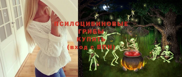 ГАЛЛЮЦИНОГЕННЫЕ ГРИБЫ Алексин