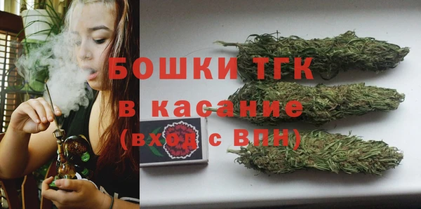 a pvp Пересвет