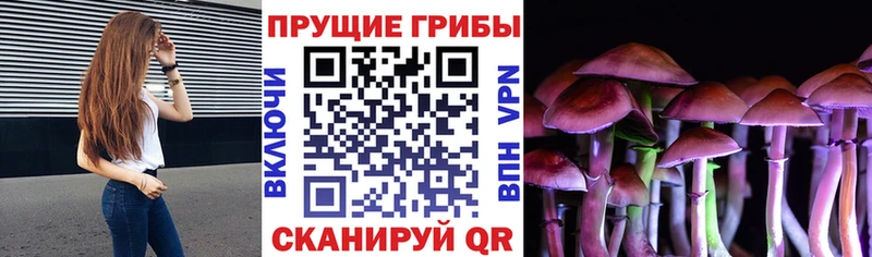 Псилоцибиновые грибы мицелий  blacksprut зеркало  Шебекино 